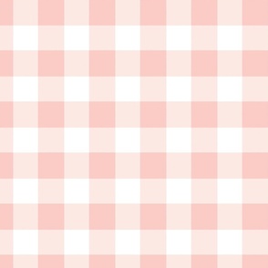 Vintage Spring Pink Gingham Jumbo