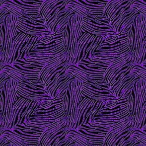 TIGER STRIPES WITH PURPLE 8