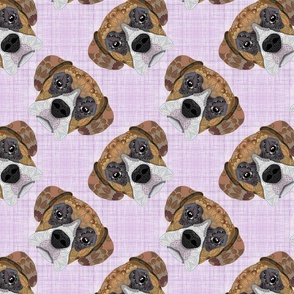 BROWN BOXER PATTERN PURPLE 16