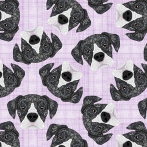 BLACK AND WHITE BOXERS SCATTERED PURPLE 16