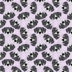 BLACK AND WHITE BOXERS SCATTERED PURPLE 8