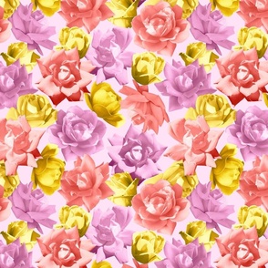 Yellow Orange Pink Roses 24