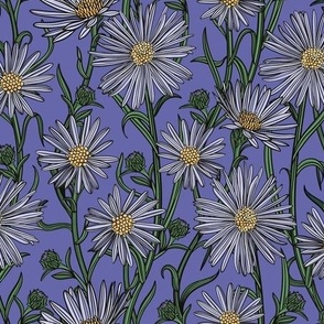 Purple Aster Wildflowers - Very Peri