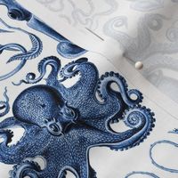 Ernst Haeckel Gamochonia Octopus Vivd Blue