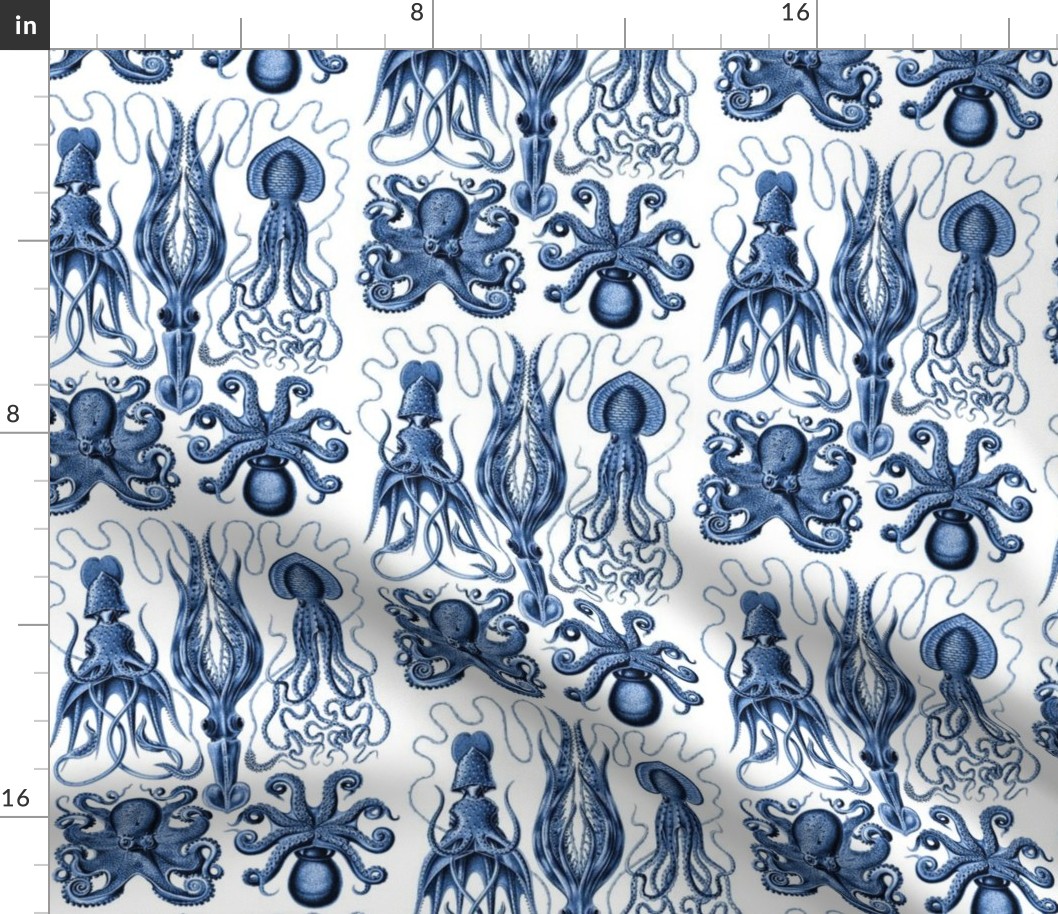 Ernst Haeckel Gamochonia Octopus Vivd Blue
