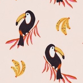 Small - Toucan