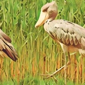 amazingly beautiful shoebill in a thicket of reeds