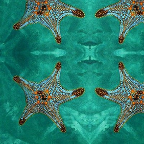 Starfish, lighter Background.