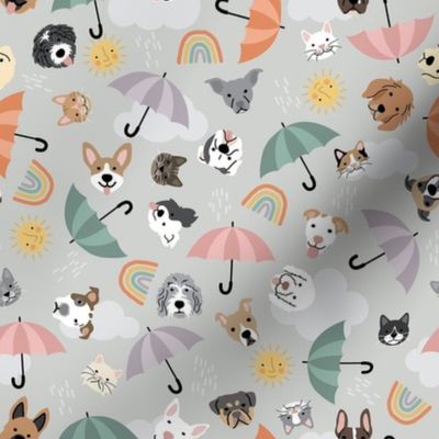 Raining Cats and Dogs - Gray, Medium Scale