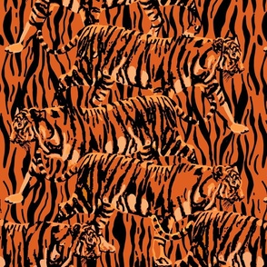 Orange Tiger 2022