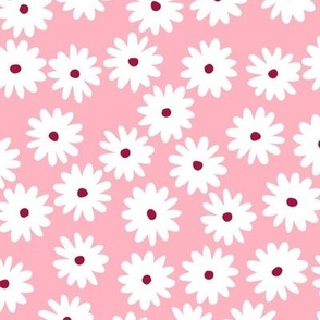 daisies - blossom pink