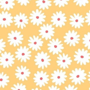 daisies - cornsilk