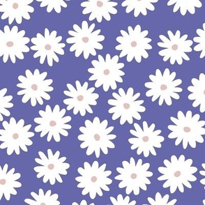 daisies - very peri
