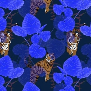 Tropical Tigers