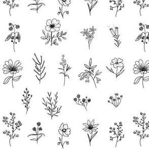 Wildflowers drawing line art