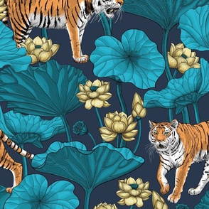 Tigers in the lotus pond on blue, big size