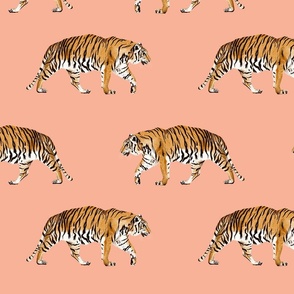 Medium - Tiger Parade - Pink