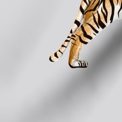 Large - Tiger Parade - Grey