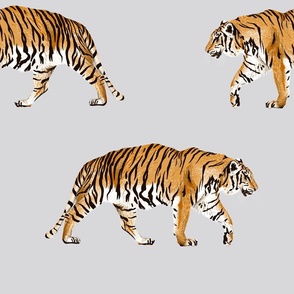 Large - Tiger Parade - Grey