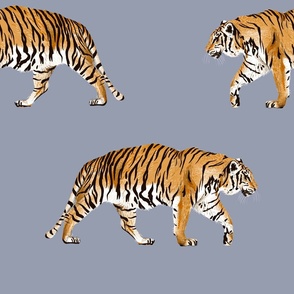 Large - Tiger Parade - Blue