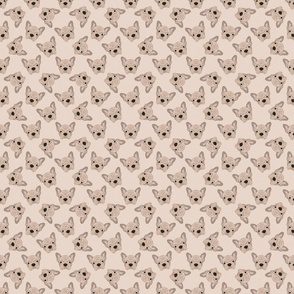 BEIGE FRENCHIE BEIGE 8