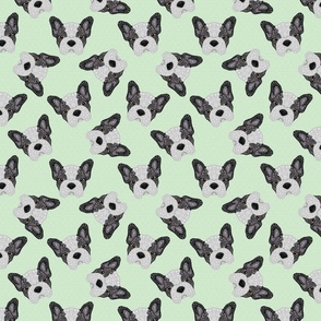 BLACK AND WHITE FRENCHIE GREEN 16