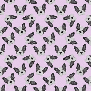 BLACK AND WHITE FRENCHIE PINK 16
