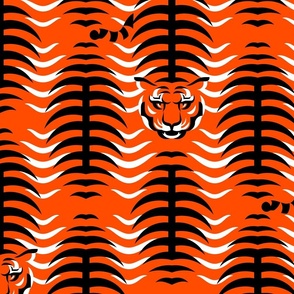 Year of the Bengals