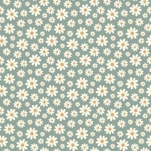 ( small) Daisy, florals, daisies, sage green 