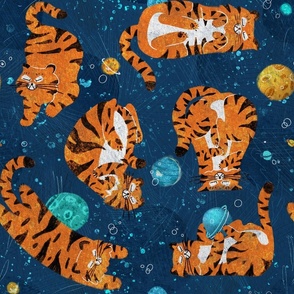 Tiger space