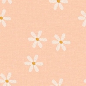 Spring Daisies Peach Blossom_Iveta Abolina