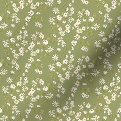 country daisies Green