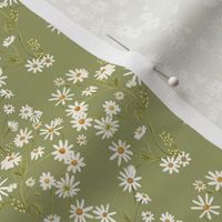 country daisies Green