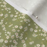 country daisies - Green (Medium Scale)