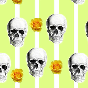 skullsstripesandroses