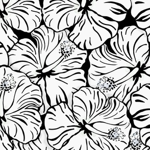 Hibiscus Meadow-black and white