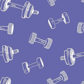 Fitness weights purple
