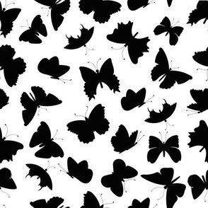 butterflies 