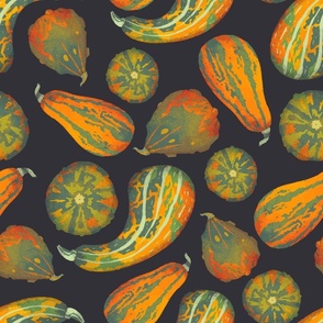 Botanical pumpkins and gourds