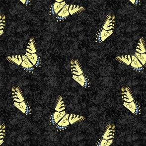 Swallowtail Butterflies on Black Texture