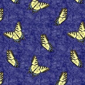 Swallowtail Butterflies on Dark Blue Texture