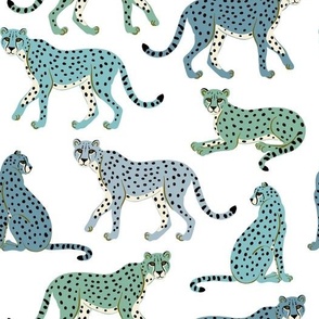 Cheetahs Blue Green