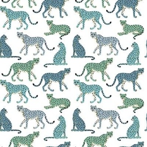 Cheetahs Blue Green - small