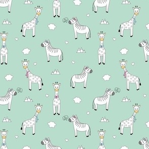 giraffes and zebras