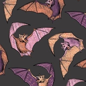  bats