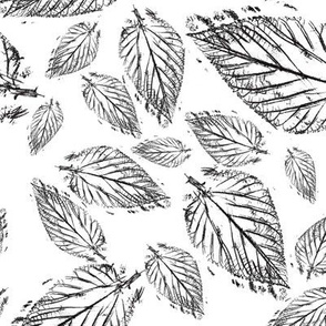 Leaf Pattern Black and White