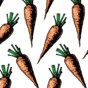 carrot sketch