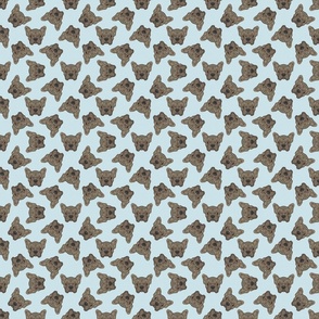 SCATTERED BRINDLE FRENCHIE BLUE 8
