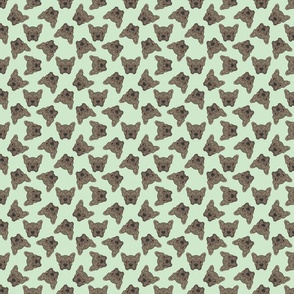 SCATTERED BRINDLE FRENCHIE GREEN 8