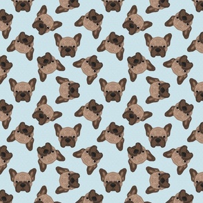 SCATTERED BROWN FRENCHIE BLUE 16